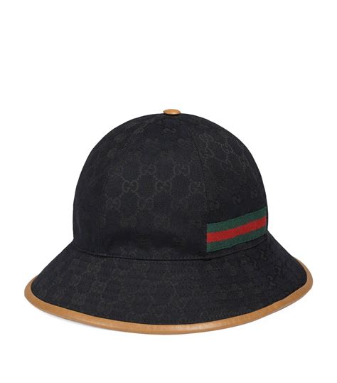 gucci hat on a plant